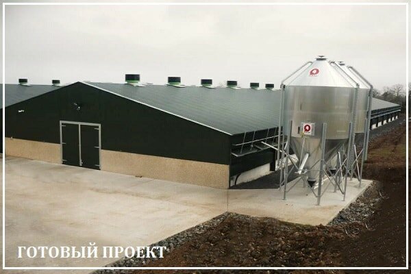 Этапы возведения птицефабрики от завода ВелесТент-стр